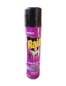 Raid Multi-Purpose Insect Killer 500ml